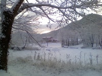 게시물 보기 페이지