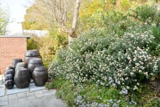 게시물 보기 페이지