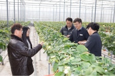 농업기술센터 소개 >시설안내 >청년창업농 임대형 스마트팜 > 당진시 농업기술센터 당진시청