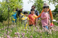 플러그인당진 당진 2019년 어린이농부 체험학교 현장 > 플러그인당진