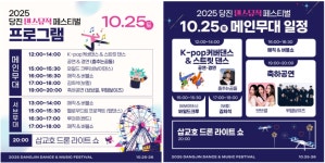 플러그인당진 당진에선 누구나 주인공 당진 댄스뮤직 페스티벌! > 플러그인당진