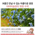 플러그인당진 아미미술관에 수국이 피었어요! > 플러그인당진