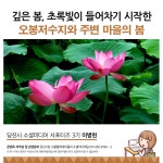 플러그인당진 당진 오봉저수지와 주변 마을의 봄 > 플러그인당진