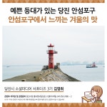 플러그인당진 겨울로 떠나는 여행! 예쁜 등대가 있는 당진 안섬포구 > 플러그인당진