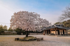 플러그인당진 해 질 무렵 솔뫼성지로 산책 > 플러그인당진