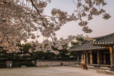 플러그인당진 해 질 무렵 솔뫼성지로 산책 > 플러그인당진