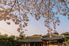 플러그인당진 해 질 무렵 솔뫼성지로 산책 > 플러그인당진