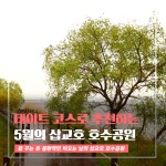 플러그인당진 당진 데이트 코스로 추천하고 싶은, 5월의 삽교호 호수공원 > 플러그인당진