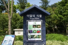 플러그인당진 당진 아이들과 가볼 만한 곳 삼선산수목원 숲속 도서관에서 책 보며 힐링해요! > 플러그인당진