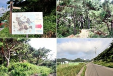 플러그인당진 당진 대난지도 섬둘레길-산능선과 해안선을 따라 호젓하게 걷기 좋은 길 > 플러그인당진