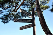 플러그인당진 가을에 걷기 좋은 길, 버그내 순례길 > 플러그인당진