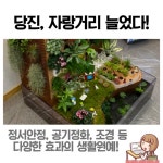플러그인당진 당진 도시농업관리사, 생활원예 경진대회 수상! > 플러그인당진