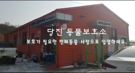 플러그인당진 당진 동물 보호소: 보호가 필요한 반려동물 사랑으로 입양하세요! > 플러그인당진