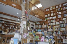 플러그인당진 동심이 피어나는 북스테이 책방, 당진 그림책꽃밭 이야기 > 플러그인당진