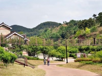 플러그인당진 삼선산 수목원 마음이 치유되는 힐링 숲 초여름 풍경 > 플러그인당진