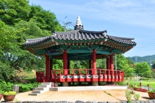 플러그인당진 면천 골정지와 군자정의 아름다운 여름 > 플러그인당진