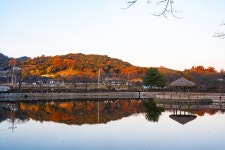 플러그인당진 밤에 가기 좋은 당진 여행지, 골정지 늦가을 밤의 산책 > 플러그인당진