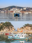 플러그인당진 새벽을 깨우며 실치를 찾아 떠나는 여행! / 장고항실치축제 안내 > 플러그인당진