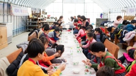 플러그인당진 당진시 고지내 농장 / 동지 팥죽 만들기 체험! > 플러그인당진