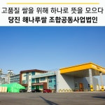 플러그인당진 당진 해나루쌀 조합공동사업법인 > 플러그인당진