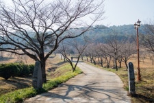 플러그인당진 당진시 능안 생태공원과 봉화산 둘레길 > 플러그인당진