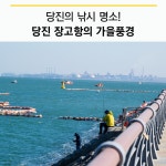 플러그인당진 낚시 명소 장고항의 가을 풍경 > 플러그인당진