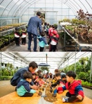 Foto hasil pencarian Naver 1