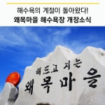 플러그인당진 대난지도·왜목마을 해수욕장 개장 소식! > 플러그인당진