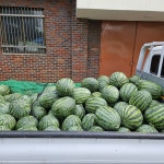 플러그인당진 보도자료 > 플러그인당진