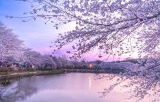 플러그인당진 서포터즈취재 > 플러그인당진