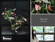 자유게시판 - 문화예술대학원 - 단국대학교