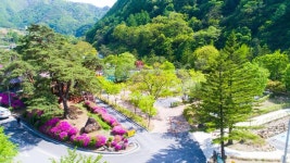 단양군 공공저작물 < 단양군공공저작물 < 알림마당 < 열린마당 : 단양군청