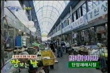 단양vod::단양군정뉴스
