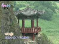 단양vod::단양군정뉴스