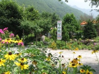 가곡 민박