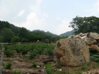 블루베리민박