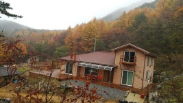 해바라기민박
