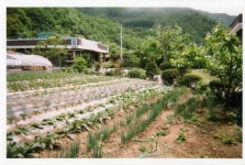 삼선민박