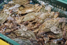 청량리수산시장