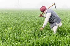 Budget 2020: Aviation Ministry to launch Krishi Udan scheme for transport of agri-products, says FM Nirmala Sitharaman | Deccan... 