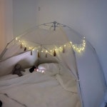 밋밋한 텐트에 깨알버드전구로 분위기 업업 😌 아들래미가 너무 좋아해요 💓 | 일상을 스타일링하다, 데코뷰 일상을 스타일링하다, 데코뷰