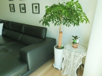 일상을 스타일링하다, 데코뷰