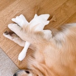 토탈 홈스타일링 브랜드 데코뷰