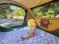 플라워피크닉매트넘예뻐요 카페옥상정원에펴놓고~아이간식도먹이고 근처계곡에서텐트안 | 일상을 스타일링하다, 데코뷰 일상을 스타일링하다... 
