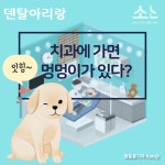 치과에 가면 멍멍이가 있다?! - 덴탈아리랑 치과에 가면 멍멍이가 있다?!