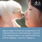 치과에 가면 멍멍이가 있다?! - 덴탈아리랑 치과에 가면 멍멍이가 있다?!