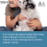 치과에 가면 멍멍이가 있다?! - 덴탈아리랑 치과에 가면 멍멍이가 있다?!