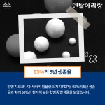 ‘메탈 세라믹’ 여전한 강자 - 덴탈아리랑 ‘메탈 세라믹’ 여전한 강자