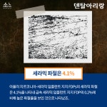 ‘메탈 세라믹’ 여전한 강자 - 덴탈아리랑 ‘메탈 세라믹’ 여전한 강자