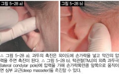 [임상특강] 전신치의학회 임상 5. 턱관절의 구조와 이상 Ⅵ - 덴탈아리랑 [임상특강] 전신치의학회 임상 5. 턱관절의 구조와 이상 Ⅵ